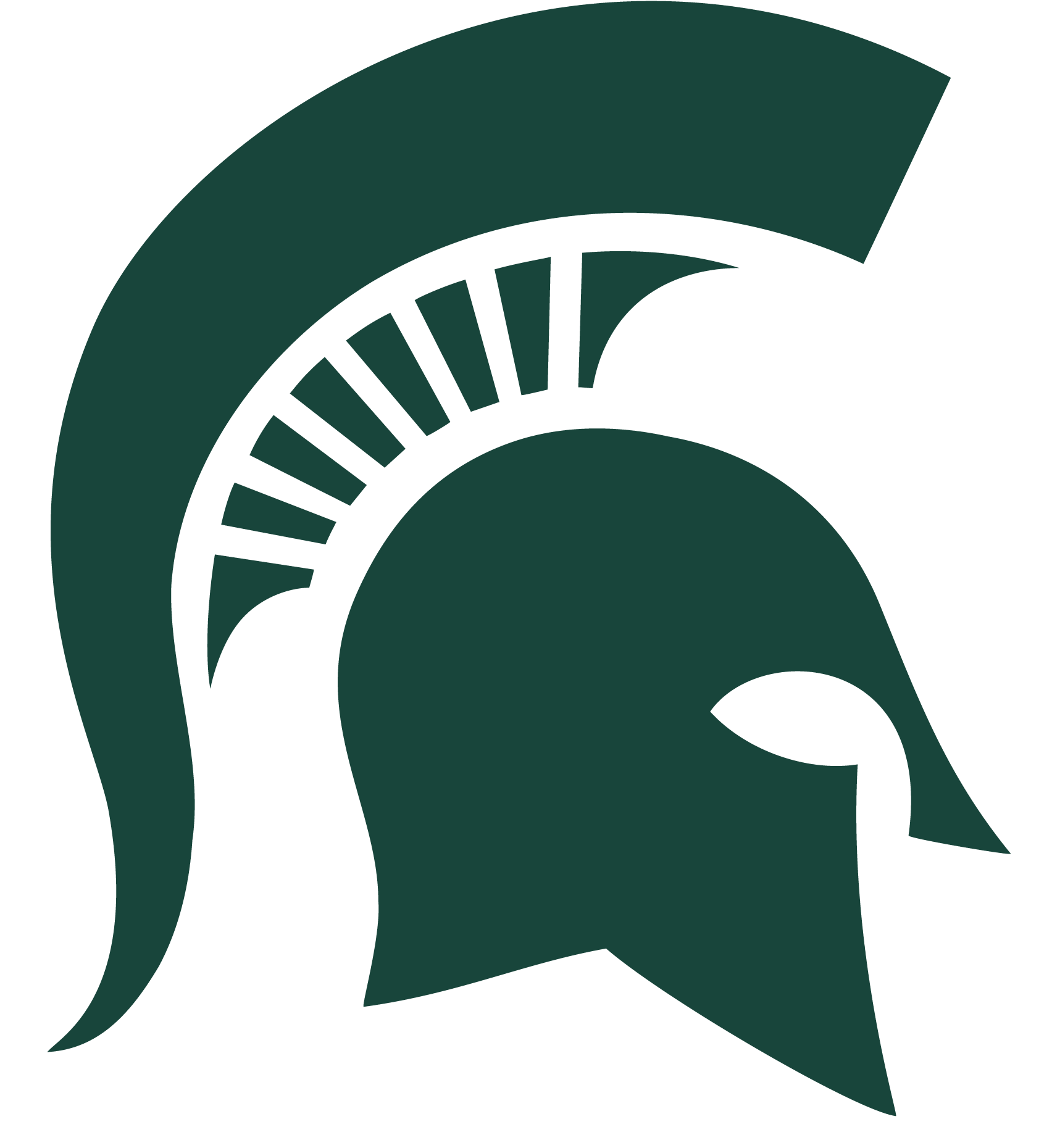 Michigan State University